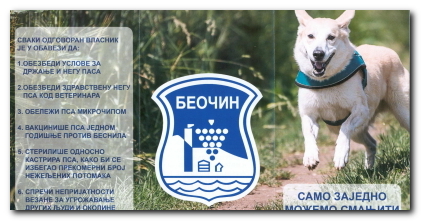 Samo zajedno možemo smanjiti broj napuštenih pasa na ulicama Beočina