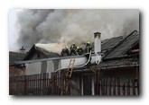 Lokalizovan požar u Kolonijama u Beočinu