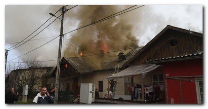 Lokalizovan požar u Kolonijama u Beočinu