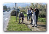 U Beočinu počelo pošumljavanje vetrozaštitnih pojaseva