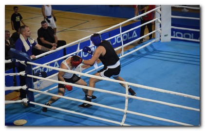 U Beočinu održano II kolo Regionalne lige u boksu