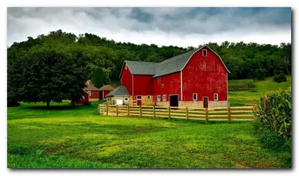Raspisan konkurs za dodelu bespovratnih sredstava za kupovinu seoske kuće sa okućnicom